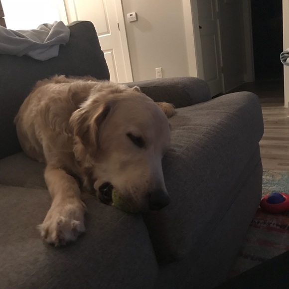 Meet your Posher, Michael - Picture 1 of 1